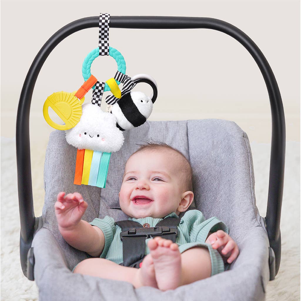 Itzy Ritzy - Bitzy Busy Ring™ Teething Activity Toy: High Contrast