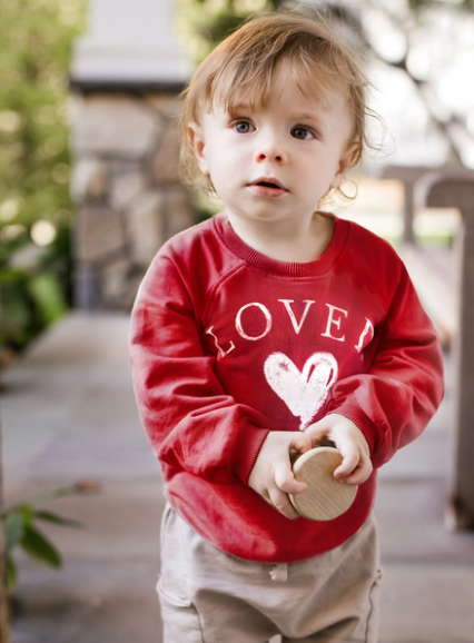 Burt's Bees - Toddler Loved Sweatshirt